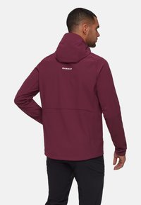 Homme portant une veste à capuche bordeaux avec le logo "Mammut" dans le dos, associée à un pantalon noir, vu de dos sur un fond uni.
