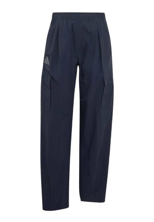 adidas Terrex, TERREX XPLORIC CLIMA365 CARGO PANTS - Pantalones montañeros largos - legend ink