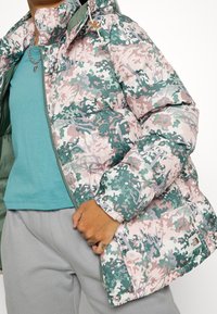 The North Face Piumino - multi-coloured