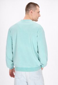 Lichtblauw-groen sweatshirt met een ronde hals, ribgebreide mouwuiteinden en onderrand. Zachte textuur met een relaxte pasvorm, getoond van achteren tegen een neutrale achtergrond.