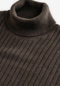 Next ROLL NECK - REGULAR FIT TEXTURE - Strickpullover - brown