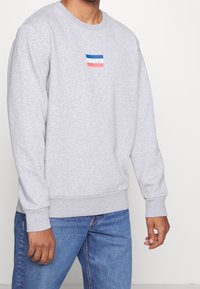 Felpa grigia a girocollo con maniche lunghe, polsini e fondo a costine. Presenta un piccolo logo Levi's blu, rosso e bianco sul petto.