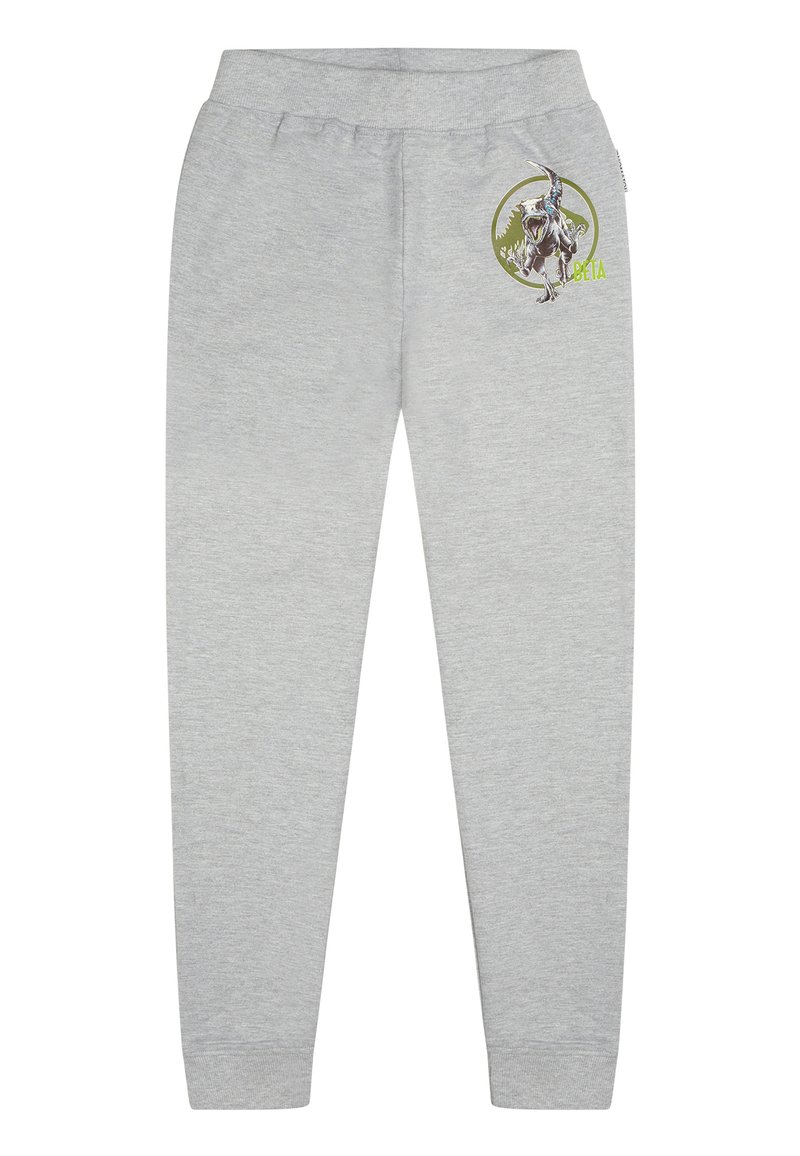 Graue Jogginghose aus Baumwollmischung mit einem elastischen Bund, tapered Beinen und einem Dinosaurier-Motiv mit grünen Akzenten.