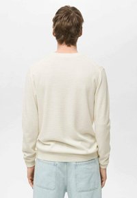 Pulover bej deschis, cu mâneci lungi și o textură specifică. Croială clasică, margine și mansete cu zimți. Purtați cu blugi de culoare albastră deschisă.