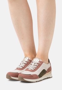 Baskets avec une combinaison de suède et de cuir rose clair, beige et vert foncé. Elles présentent un design perforé, des lacets texturés et un petit talon.