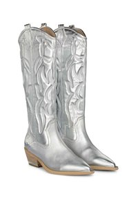Botas de vaquero plateadas con punta afilada y un tacón bajo y apilado. Presentan intrincados patrones florales bordados en el tubo y un acabado metálico suave.