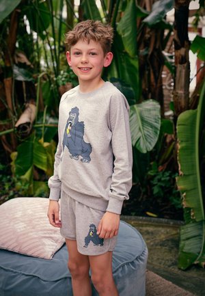 Tao & Friends Sweatshirt - grey