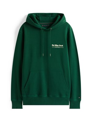 Green hoodie made from soft material, featuring a kangaroo pocket, adjustable drawstring hood, and printed logo on the front.