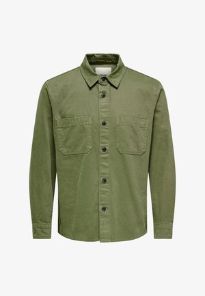 Grünes Langarm-Hemd mit Knopfverschluss aus Baumwolle, mit spitzem Kragen, zwei Fronttaschen und schwarzen Knöpfen. Glatte Textur und taillierte Passform.