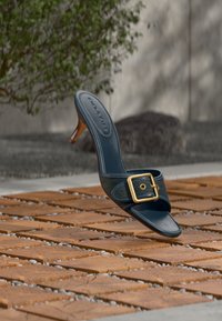 Ναυτικό μπλε πέδιλο με ψηλό τακούνι και χρυσή πόρπη, τοποθετημένο σε ξύλινο πάτωμα, με φόντο έναν ασαφή εξωτερικό χώρο με πράσινα φυτά.