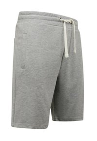 Local Fanatic JOGGING - Trainingsbroek - grijs