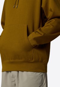 The North Face M ESSENTIAL RELAXED HOODIE - Mikina s kapucňou - moss green