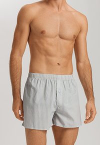 Caleçons boxers en coton rayé bleu clair et blanc, dotés d'une ceinture élastique et d'une seule fermeture à bouton à l'avant.