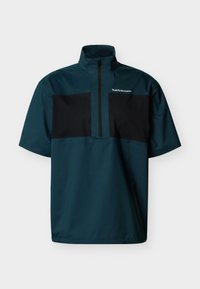 Δεν επιλέχθηκε, ponderosa pine