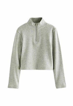 BOXY ZIP NECK - REGULAR FIT - Stickad tröja - grey