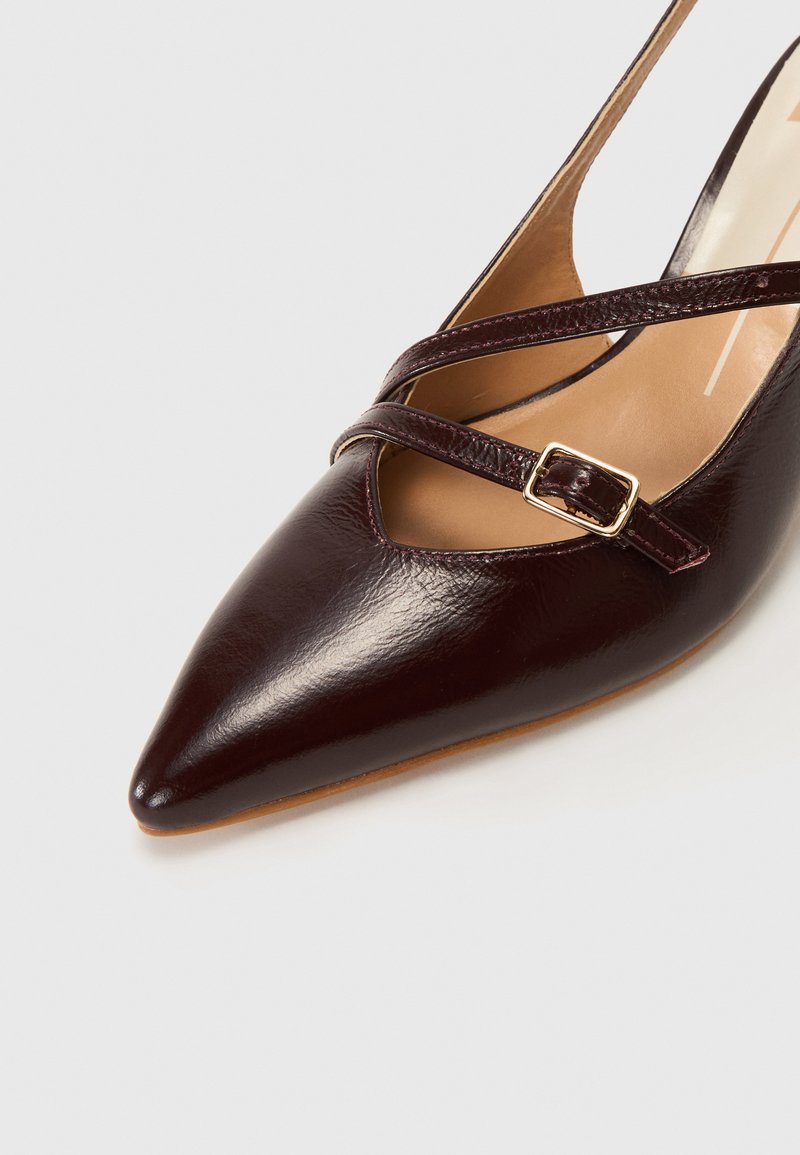 Zapato de cuero marrón oscuro con punta afilada, con dos tiras delgadas cruzadas y una pequeña hebilla dorada sobre un fondo blanco.