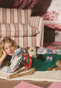 Loungewear-setti sisältää värikkään, kuviollisen kankaan. Vihreässä neuleessa, jossa on punainen nauha ja koristeellisia yksityiskohtia, oleva koira makaa vieressä.