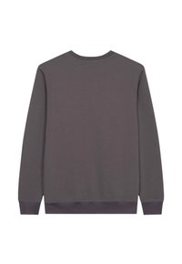 Grijze sweatshirt met lange mouwen, ronde hals en ribgebreide manchetten. Soepele textuur, effen kleur, zonder zichtbare patronen of versieringen.