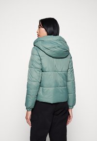 Groene donsjack met een capuchon, met doorgestikte secties, elastische manchetten en een gladde, glanzende textuur. Het achteraanzicht toont een getailleerd ontwerp.