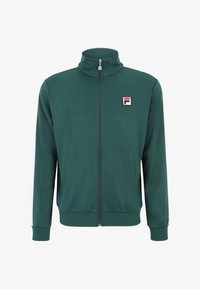 Non selezionato, forest biome