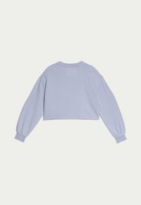Kraftig, långärmad topp i ljus lavendel, tillverkad av mjukt tyg. Har ribbade ärmslut och en rund halsringning, med en enkel baksida.