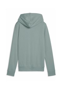 Felpa con cappuccio in verde tenue, caratterizzata da una superficie liscia, tasca frontale e polsini e fondo a coste. Mostra la vista posteriore senza stampe.