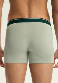 Męskie jasnozielone bokserki o gładkiej fakturze, z ciemnozielonym elastycznym paskiem w talii z podwójnymi paskami oraz logo z tyłu.