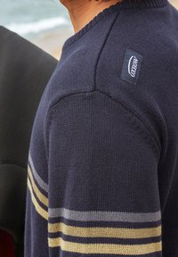 Pull en tricot bleu marine avec des rayures horizontales grises et jaunes. Étiquette sur l'épaule avec le nom de la marque. Texture lisse, design à col rond.