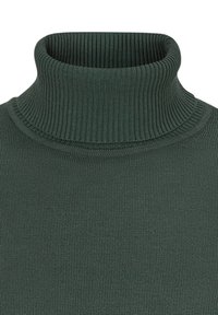 Dunkelgrüner Rollkragenpullover aus geripptem Strickmaterial. Verfügt über einen hohen, strukturierten Kragen und eine enge Passform ohne sichtbare Muster oder Akzente.