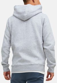 Gray hoodie with a soft texture, centered back seam, and adjustable drawstrings on the hood. Ribbed cuffs and waistband complete the design.
