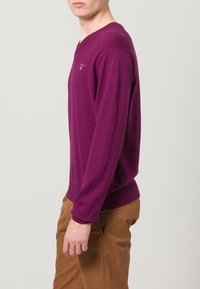 V-Ausschnitt Pullover in tiefem Lila, aus weichem Strickstoff, mit langen Ärmeln und einem kleinen Logo auf der Brust. Kombiniert mit beigen Hosen.