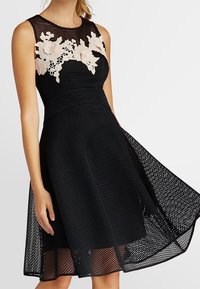 Robe sans manches en mesh noir avec des appliqués floraux beiges sur la poitrine, taille ajustée et jupe évasée.