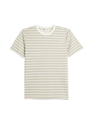 Gestreiftes T-Shirt in hellen Creme- und Grüntönen; verfügt über einen runden Ausschnitt und kurze Ärmel, mit horizontalen Streifen unterschiedlicher Breite.