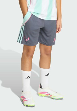 Dítě oblečené do šedých sportovních kraťasů s tyrkysovými pruhy, bílých fotbalových kopaček s růžovými detaily, bílých ponožek a světle modrého a bílého dresu.