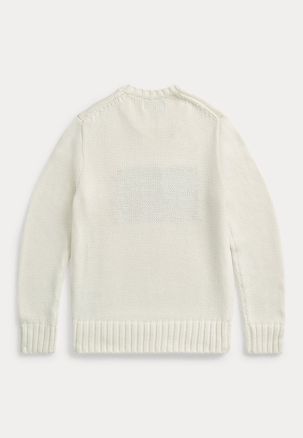 THE ICONIC FLAG JUMPER - Jumper - nevis4