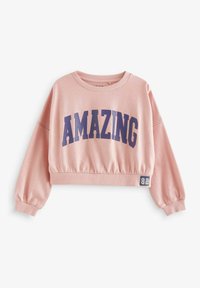 Next VARSITY GRAPHIC 3 PACK - Bluză de molton - pink blue