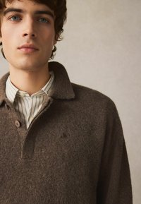 Brauner Wollpullover mit Kragen, ausgestattet mit zwei Knöpfen und einem bestickten Logo. Getragen über einem weiß gestreiften Hemd.