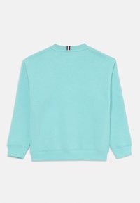 Lyseblå crewneck sweatshirt med ribstrikkede manchetter og kant, der har en lille rød, hvid og sort stribedetalje ved baghalsen.