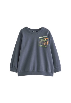 Felpa per bambini grigio scuro con un monster truck verde e la scritta "ROAR SOME" in lettere verdi sul petto.