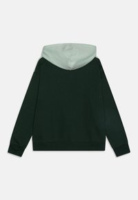 Tume roheline kapuutsiga sviiter, mille sisekapuuts on heledam roheline. Omab pikki varrukaid ja toote äärealus asub vöökohal. Sile tekstuur.