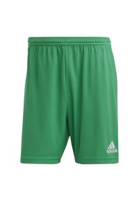 Groene sportshorts van lichtgewicht stof met een elastische tailleband. Voorzien van het witte Adidas-logo op de rechterbenedenhoek.