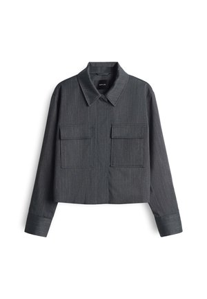 Grey, cropped long-sleeve shirt with a pointed collar, two front pockets, and a subtle pinstripe pattern. Smooth texture and tailored design.
