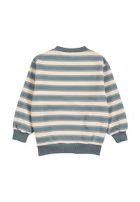 Svetr s dlouhým rukávem a kulatým výstřihem s modrými a smetanovými vodorovnými pruhy, zobrazený zezadu, s žebrovanými manžetami a lemem.