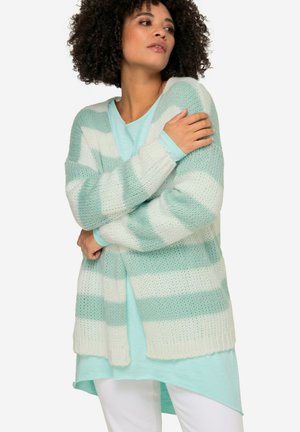 Lichte gestreepte cardigan in mintgroen en wit. Zachte, dikke breistructuur met lange mouwen en een open voorkant ontwerp.