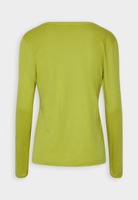 Maglia a maniche lunghe di un vivace verde lime, con una consistenza morbida e liscia, scollatura rotonda e silhouette aderente, mostrata dal retro.