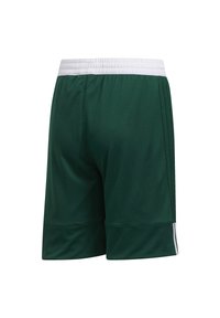 Pantalones cortos deportivos verdes con una cinturilla elástica blanca, hechos de un tejido ligero, que presentan dos franjas laterales a lo largo de los dobladillos.
