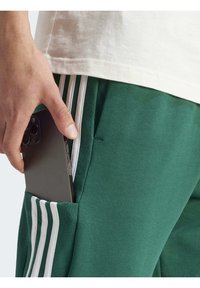 adidas Sportswear M 3S FT TC PT - Spodnji deli trenirk - collegiate green