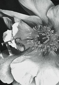 Juodas audinys su dideliu, detaliu monochrominiu gėlių raštu, kartu su stilizuotais "TS" rašmenimis, įkomponuotais į dizainą.