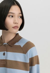 Polo a righe marrone e azzurro chiaro con colletto abbottonato, caratterizzato da una texture morbida e maniche raglan.