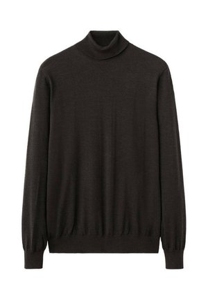 Suéter de cuello alto de color marrón oscuro hecho de un material de punto suave. Tiene mangas largas y un cuello acanalado ajustado. Diseño simple y clásico.